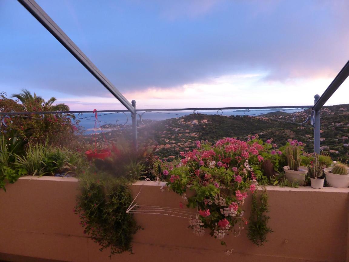 Nouveau ! Chambre D'Hote Insolite Privee " Coeurs De Pirates A Bali En Provence" Spa Sauna Massages Dans Cadre Exotique D'Amenagements Exterieurs D'Exception Ete Comme Hiver Bienvenue !!! Cavalaire-sur-Mer Eksteriør billede