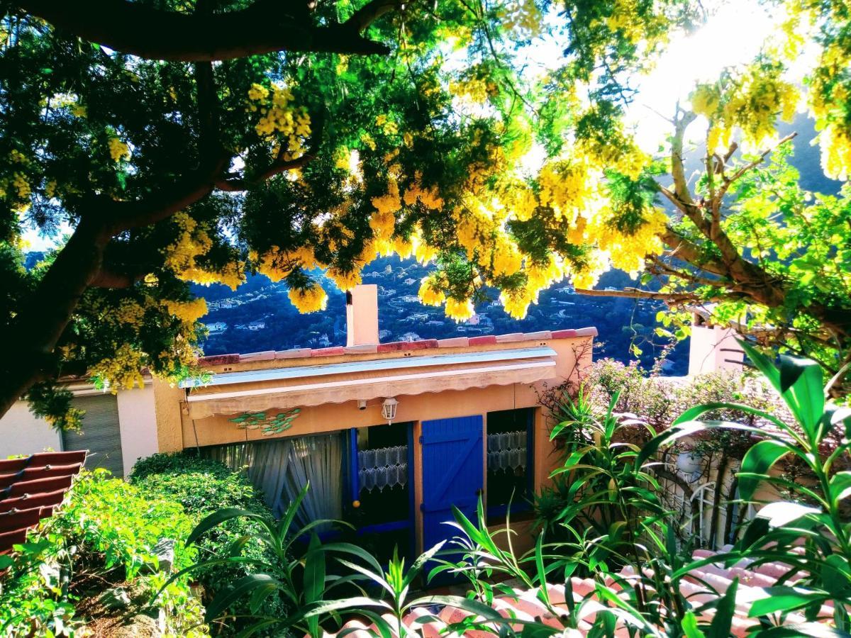 Nouveau ! Chambre D'Hote Insolite Privee " Coeurs De Pirates A Bali En Provence" Spa Sauna Massages Dans Cadre Exotique D'Amenagements Exterieurs D'Exception Ete Comme Hiver Bienvenue !!! Cavalaire-sur-Mer Eksteriør billede