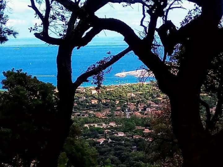 Nouveau ! Chambre D'Hote Insolite Privee " Coeurs De Pirates A Bali En Provence" Spa Sauna Massages Dans Cadre Exotique D'Amenagements Exterieurs D'Exception Ete Comme Hiver Bienvenue !!! Cavalaire-sur-Mer Eksteriør billede